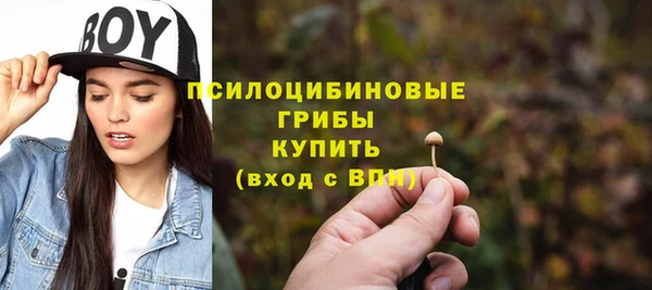 дурь Аркадак
