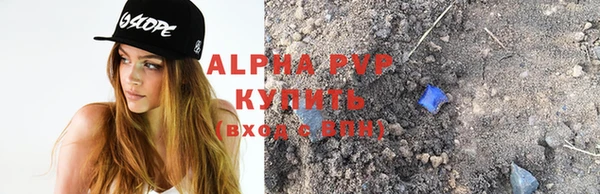 стафф Арсеньев