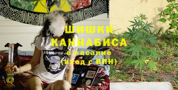 крисы Сатка