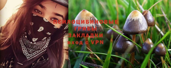 хмурый Армянск