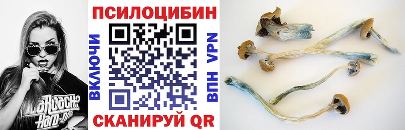 Галлюциногенные грибы GOLDEN TEACHER  кракен рабочий сайт  Ухта 